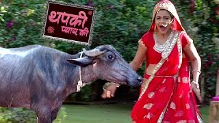 Thapki Gets Scared Of A Buffalo  Thapki Pyar Ki  थपकी प्यार की  TellyMasala [upl. by Aim]