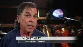 Mickey Harts Brain on Music [upl. by Sheeree]