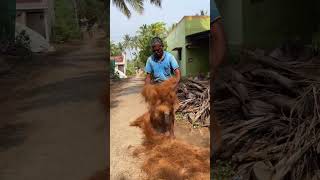 Coir Rope Making agriculture farming farmer backboneofnation agridekho [upl. by Annaohj]