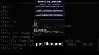 Mastering SFTP Essential Tips amp Tricks sftp techshorts shorts [upl. by Einattirb]