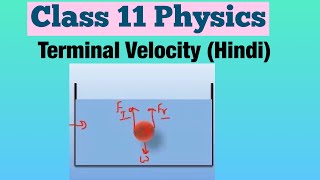 Terminal Velocity Hindi  Class 11 Physics [upl. by Morgun866]