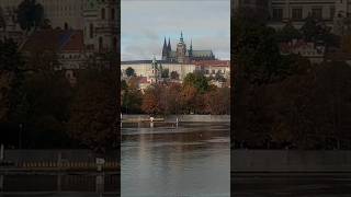 🏞️Vltava  Bedřich Smetana vltava MáVlast smetana shorts [upl. by Roid370]