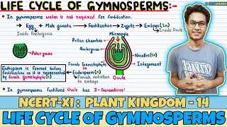 Plant Kingdom Lec 14 Life Cycle of Gymnosperms Class 11 NEET Neetology [upl. by Irat]