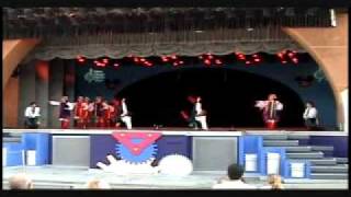 Lviv Ukrainian Dance Ensemble  Senior Hopak 2008 Disney World [upl. by Judus]