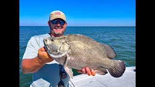 Catching Tripletail in Venice Louisiana [upl. by Galloway799]