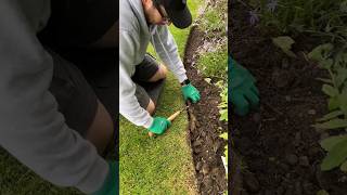 Edging In The Garden Nice And Crisp gardening diygarden garden lawncare lawn diy [upl. by Neirbo]