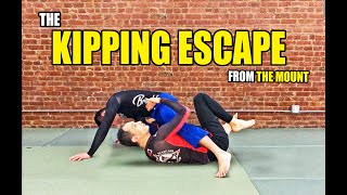 The Kipping Escape From Mount NoGi BJJ [upl. by Seidel]