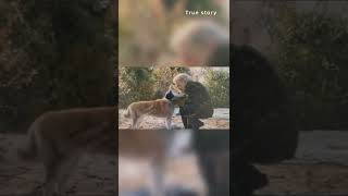 True Story behind the Movie Hachi A Dogs Tale ShortsAnimalshortsvideo [upl. by Alraep]