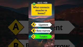 Anatomy Quiz For Americans 👀🧠🇺🇲 shortvideo shorts shortsfeed quiztime quizweb [upl. by Zanlog]