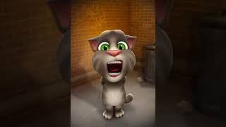 qwertyuiop asdfghjkl zxcvbnm talking angela [upl. by Alaunnoif]