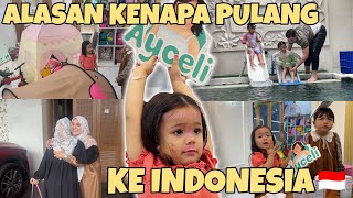 ALASAN KENAPA KAMI PULANG KE INDONESIA [upl. by Anuait]