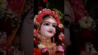 Shyaama aana baso vrindavan me radheradhe radheshyam viralvideo [upl. by Manaker]