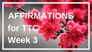 Fertility Affirmations for Getting Pregnant Week 3 [upl. by Chadburn716]