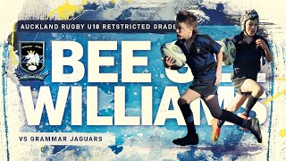 U10R  Ponsonby BeeGee Williams vs Grammar Jaguars  Junior Rugby Highlights [upl. by Yditsahc]