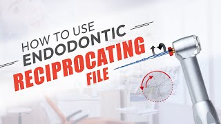 How to use Endodontic Reciprocating Files  StepbyStep Guide  Dentalkart [upl. by Ynaittirb]