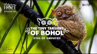 Reflections of Hope Episode 60 The Tiny Tarsiers of Bohol  Eyes of Empathy [upl. by Eidurt]