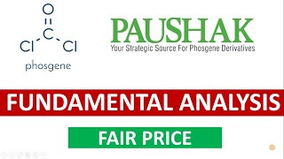 Paushak Share Review  Paushak Share Analysis  Paushak Stock Fundamentals  Jackpot  Multibagger [upl. by Vedette]