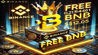 Free BNB Mining Site 2024 NO Minimum withdraw [upl. by Aikemit]