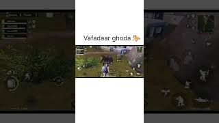 Vafadar ghoda horse in bgmi 🐎bgmi IMROCK47 [upl. by Euqinmod]