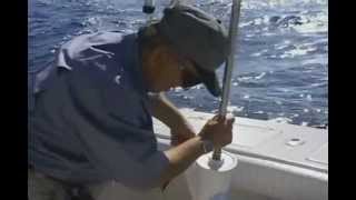 Captn Franks How To Catch Grouper [upl. by Liebermann233]