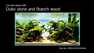 ADAview Concave layout with Ouko stone and Branch wood [upl. by Shanna]