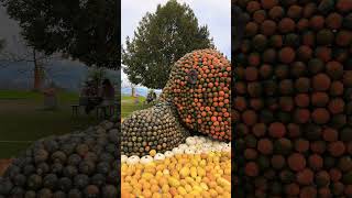 Juckerfarm Pumpkin exhibition in Seegräben [upl. by Aleron]