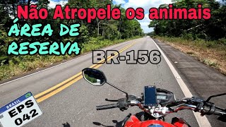 km100 a Tartarugalzinho Amapá Viagem Brasil Aos Extremos [upl. by Yatnoj227]