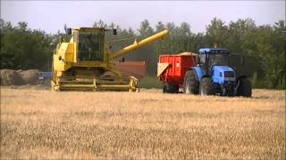 Barley Harvest 2013 New Holland Clayson S1540 [upl. by Eikram]