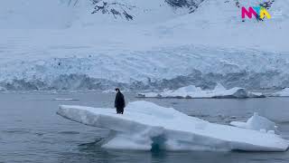 Ponant Antarctica expedition cruises [upl. by Latyrc845]