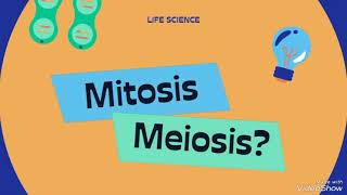 mitosis and meiosis [upl. by Eniamsaj]