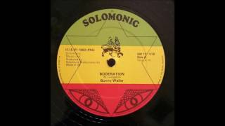 Bunny Wailer  Borderation 12 inch [upl. by Novel]