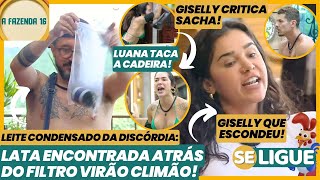 A Fazenda  Leite condensado da discórdia Luana joga cadeira Giselly critica Sacha Ao Vivo [upl. by Ennaitak]