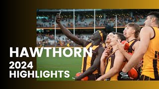 Hawthorn from 05 to finals footy [upl. by Yklam490]