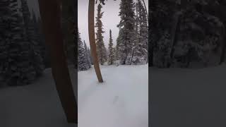 Extreme STEEP SnowBiking Powder mountainbike powder snowbike [upl. by Anid218]