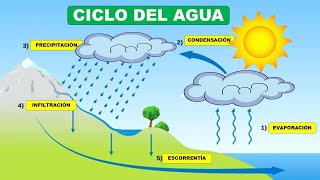 CICLO HIDROLÓGICO DEL AGUA  Evaporación Condensación precipitación Infiltración y Escorrentía [upl. by Tansey]