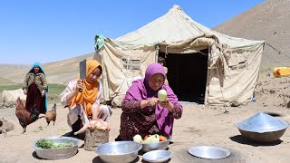 A Day Life in the Mountains Nomadic Life in Afghanistan and Cooking Traditional Food in the Village [upl. by Letnohs]