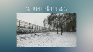 Snow in the Netherlands  Winter Walk [upl. by Gnuh]