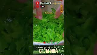 Smart  Góc chia sẻ Cơm nhà mẹ nấu  Khổ qua xào thịt tại nhà besmarteveryday food everyday [upl. by Nodlew]