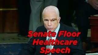 McCains Senate Floor Speech “We’re Getting Nothing Donequot Highlights [upl. by Ettelrac]