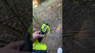 Ryobi cordless pruner test drive [upl. by Hueston]