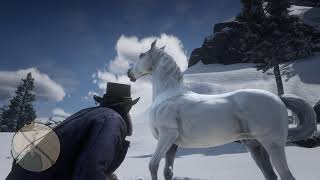 Red Dead Redemption 2 How To Get The White Arabian Horse Very Easy  Full Guide [upl. by Notffilc600]