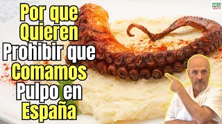 🆘 ¿POR QUE QUIEREN PROHIBIR QUE COMAMOS PULPO EN ESPAÑA Y EN TODA EUROPA 🆘 [upl. by Aerbas586]