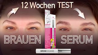 BROWCOCAINE Augenbrauenserum im 12 Wochen LANGZEITTEST misolde [upl. by Stanway]