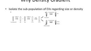 Density Gradient  Basics of Extracellular Vesicles [upl. by Behre]