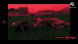 SaveAFox YTP Dixie and Muttias Hallucinate [upl. by Baudin]