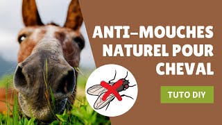 Comment créer un antimouches naturel pour cheval recette DIY [upl. by Noedig]