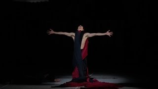 Nijinsky  Ballett von John Neumeier [upl. by Anahsor]