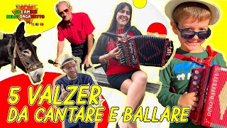 5 VALZER DA CANTARE E BALLARE  ROCCO FORTUNATO E GLI AMICI DELLORGANETTO [upl. by Aneeuqal]