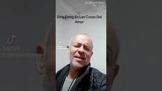 Ding dong en las cosas del amor  Cover [upl. by Aniled989]