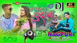 Le Lo Pudina Nagpuri Song  Suman Gupta New Sabse Hvy Dj Remix  New Nagpuri Dj Song  DJ Roshan SK [upl. by Sewoll]